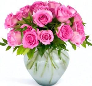 Enjoy this compact design of 25 roses in your choice of color clustered and hand designed in a clear glass ginger jar vase. This design is very simple and comes with minimal greenery to accent your beautiful  roses!