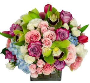 colorful roses and green orchids in vase