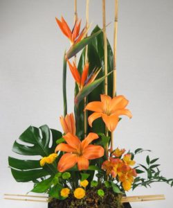 Spiky, brilliantly colorful birds of paradise are a dramatic and long-lasting addition to any flower arrangement. With their beak-like appearance, these unique "blooms" look like winged creatures poised for flight! Matched with fresh flowers and exotic leaves. - Hand delivered in a square black container.