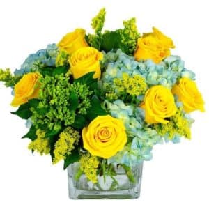 This collection highlights blue hydrangeas, mini green hydrangea, yellow roses and solidago which are elegantly arranged and perfect for the beach!