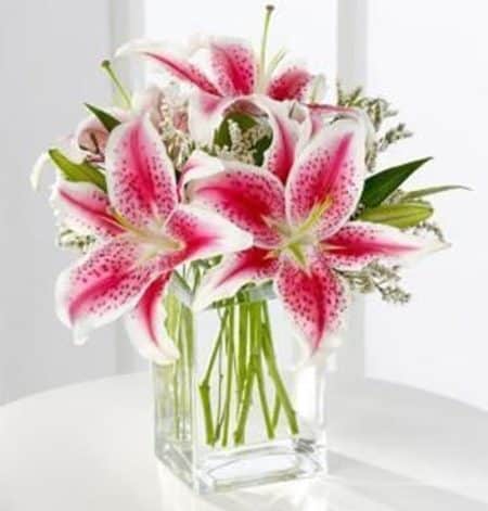 Fragrant pink Stargazer lilies are accented with pretty filler and arranged in a clear glass vase