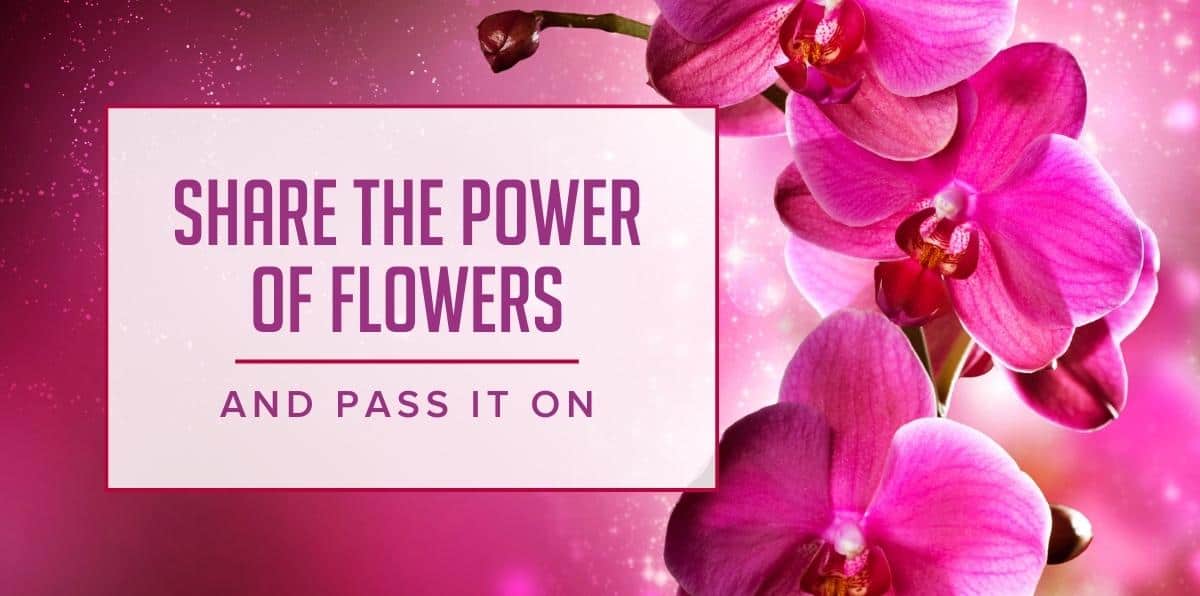 How to Honor Your Best Friendships with Flowers and Card Messages “Just